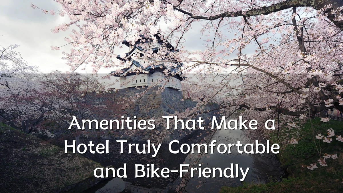 Amenities That Make a Hotel Truly Comfortable and Bike-Friendly