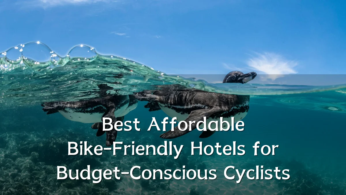 Best Affordable Bike-Friendly Hotels for Budget-Conscious Cyclists