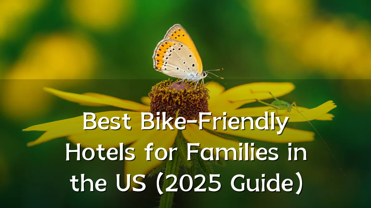 Best Bike-Friendly Hotels for Families in the US (2025 Guide)