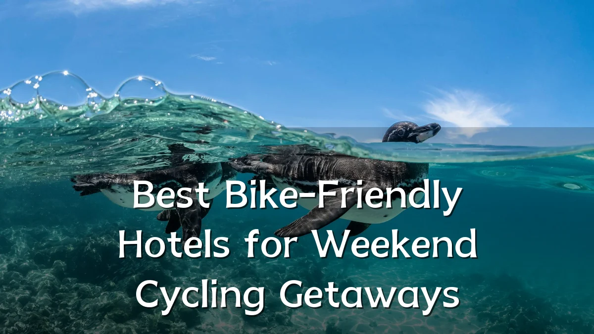 Best Bike-Friendly Hotels for Weekend Cycling Getaways