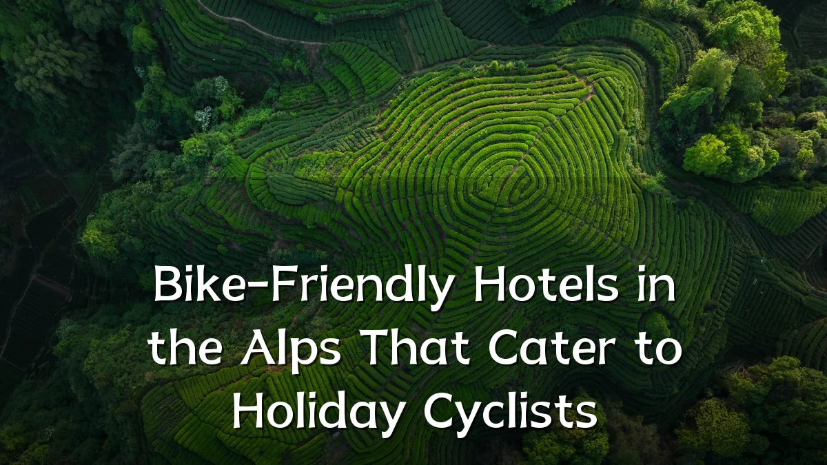 Bike-Friendly Hotels in the Alps That Cater to Holiday Cyclists