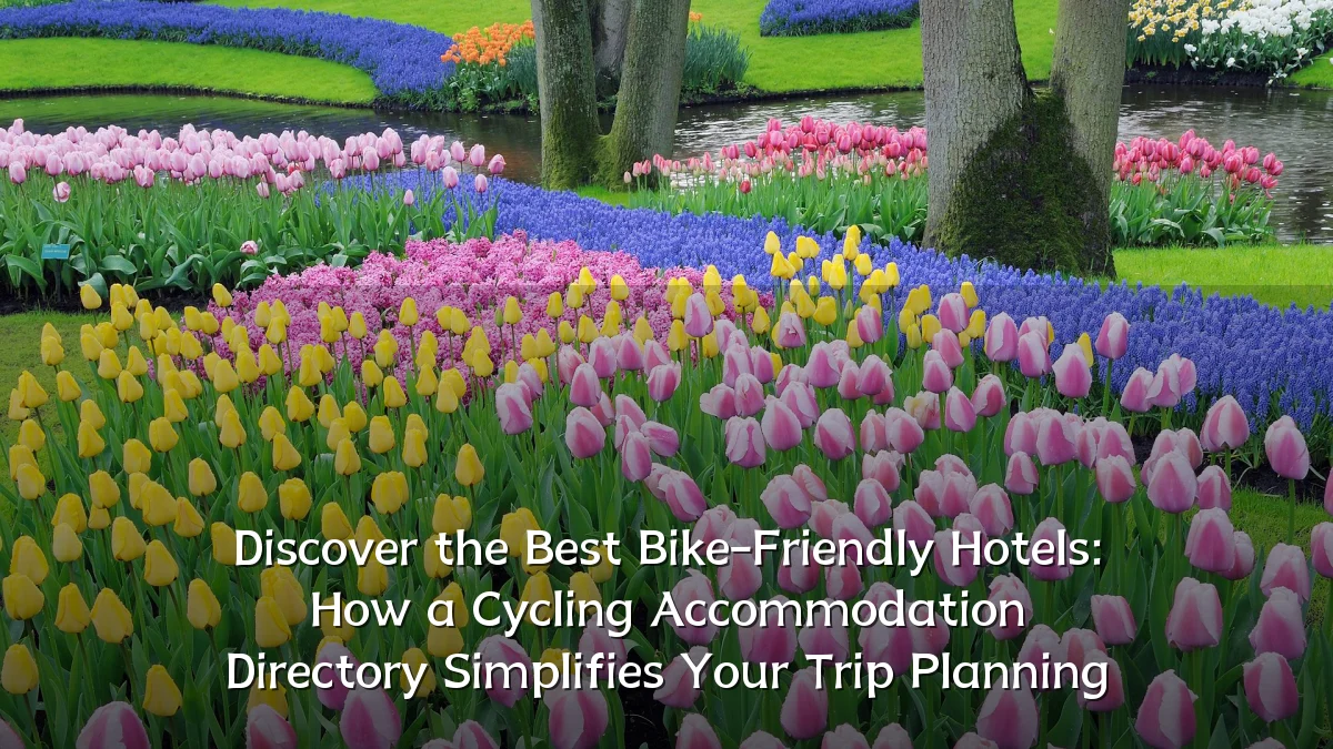 Discover the Best Bike-Friendly Hotels: How a Cycling Accommodation Directory Simplifies Your Trip Planning