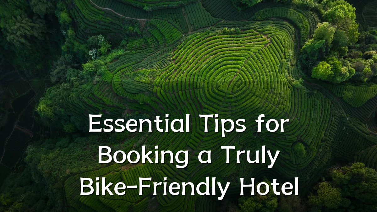 Essential Tips for Booking a Truly Bike-Friendly Hotel