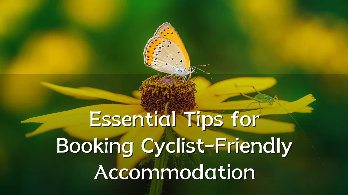 Essential Tips for Booking Cyclist-Friendly Accommodation