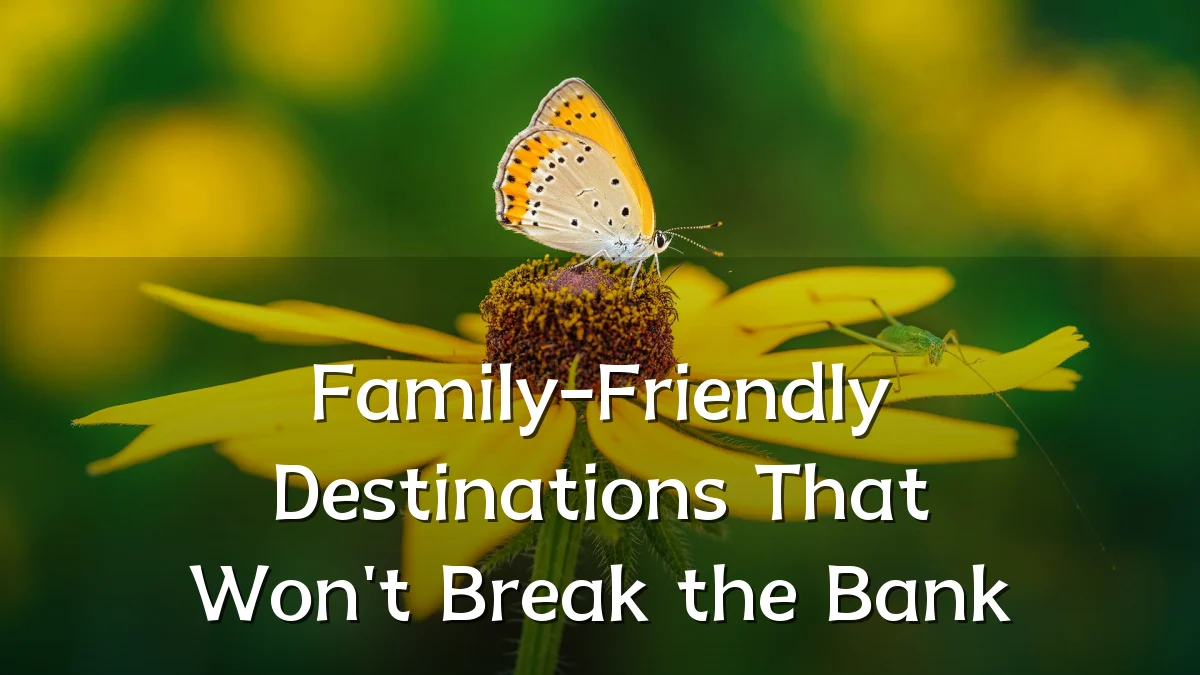 Family-Friendly Destinations That Won't Break the Bank