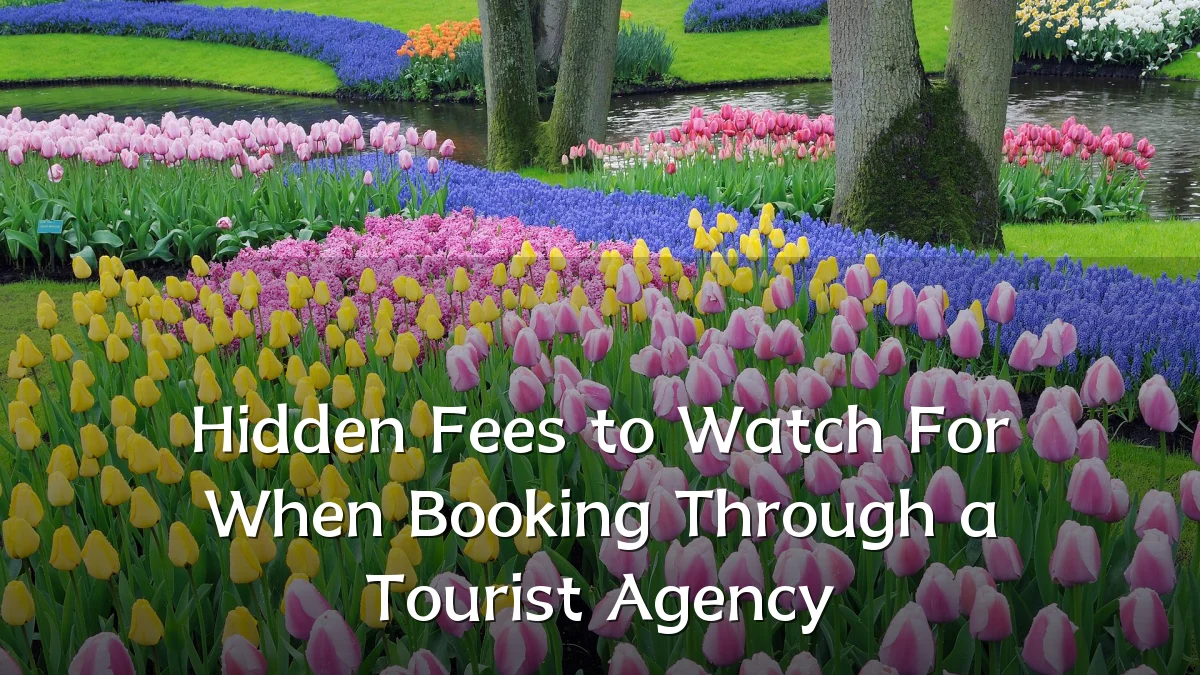 Hidden Fees to Watch For When Booking Through a Tourist Agency
