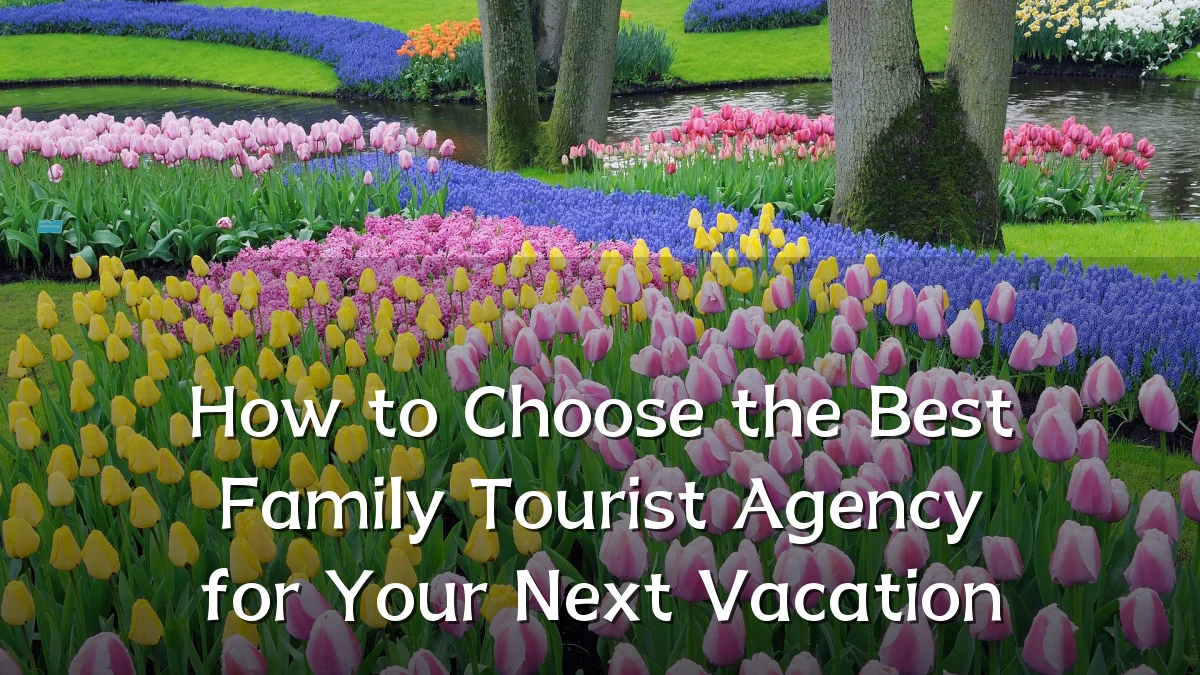 How to Choose the Best Family Tourist Agency for Your Next Vacation