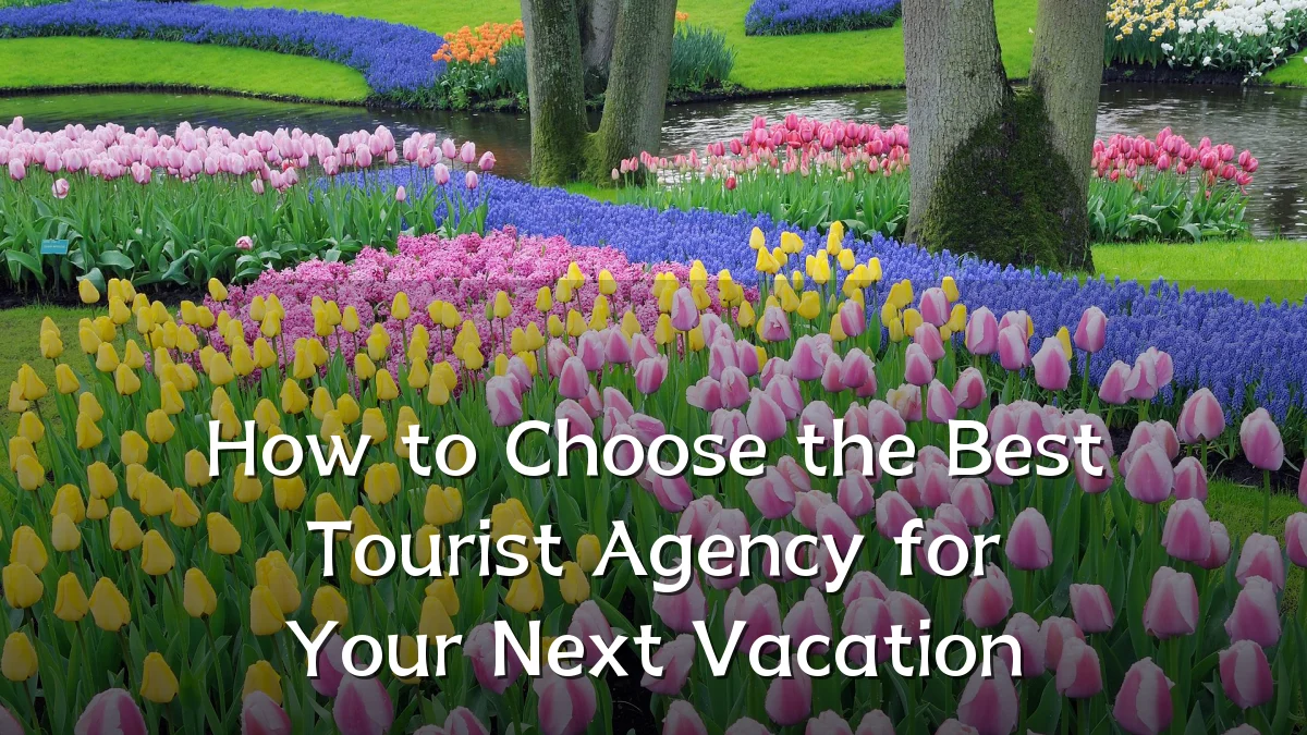 How to Choose the Best Tourist Agency for Your Next Vacation