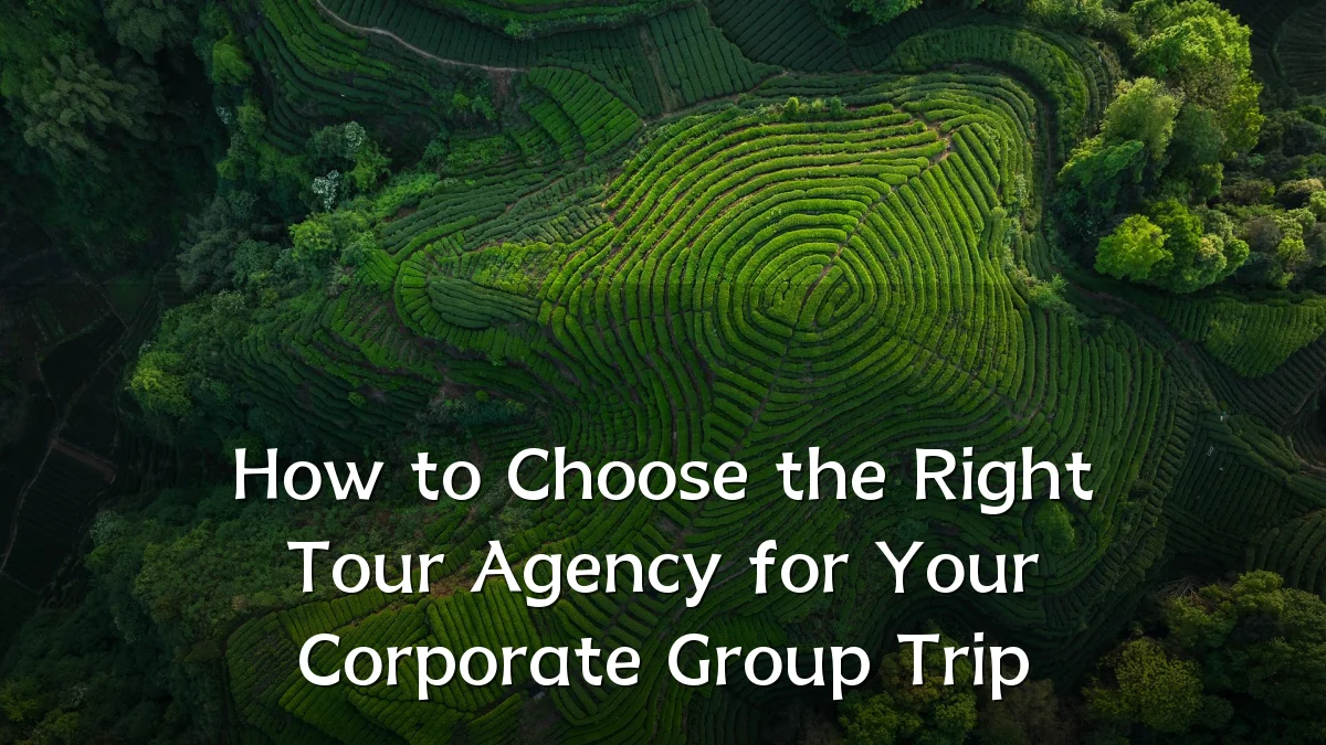 How to Choose the Right Tour Agency for Your Corporate Group Trip