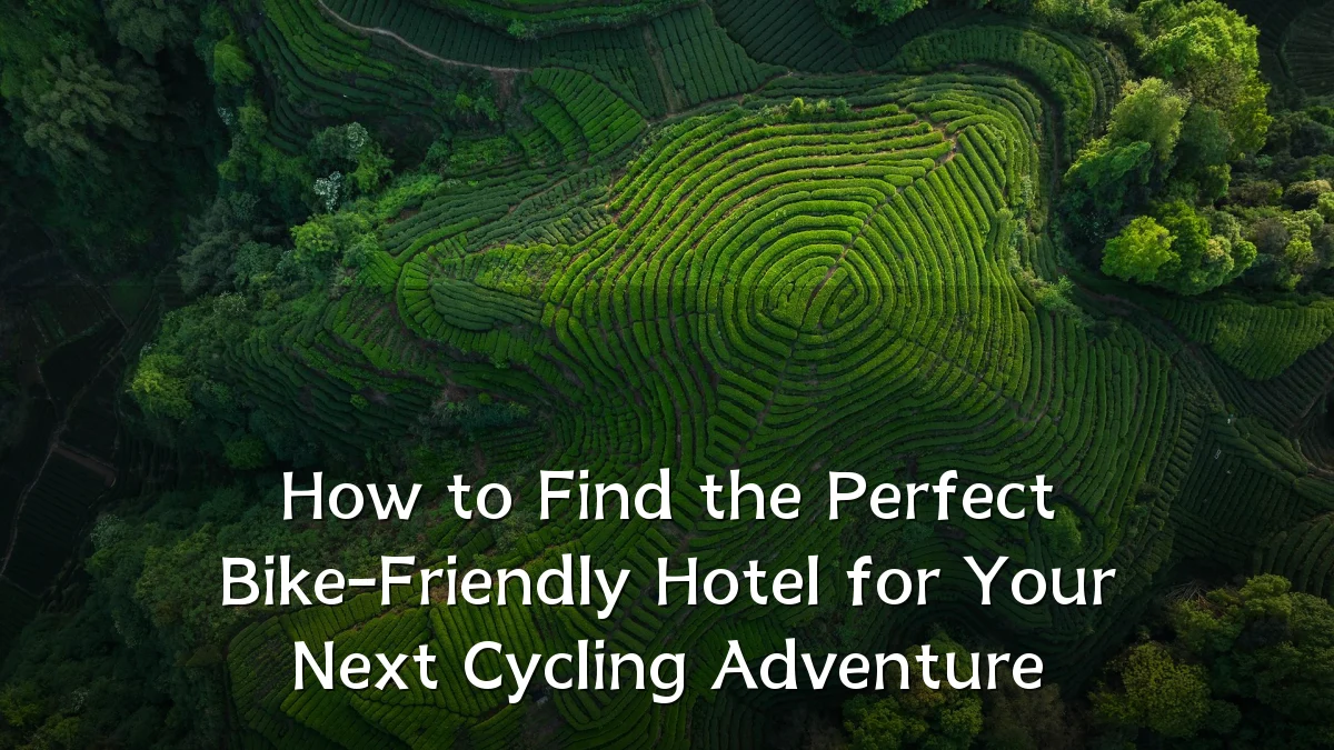 How to Find the Perfect Bike-Friendly Hotel for Your Next Cycling Adventure