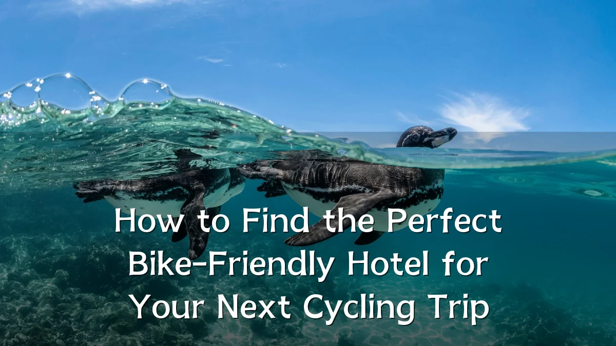 How to Find the Perfect Bike-Friendly Hotel for Your Next Cycling Trip