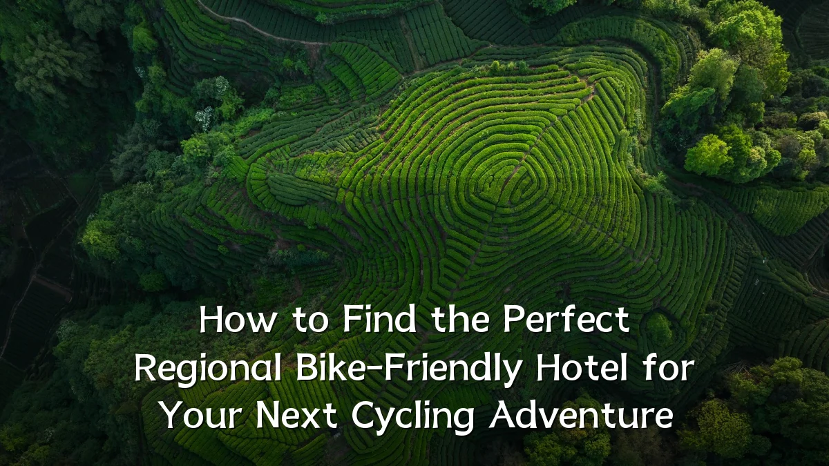 How to Find the Perfect Regional Bike-Friendly Hotel for Your Next Cycling Adventure