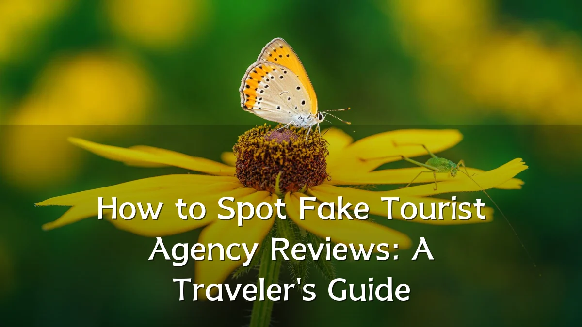 How to Spot Fake Tourist Agency Reviews: A Traveler's Guide