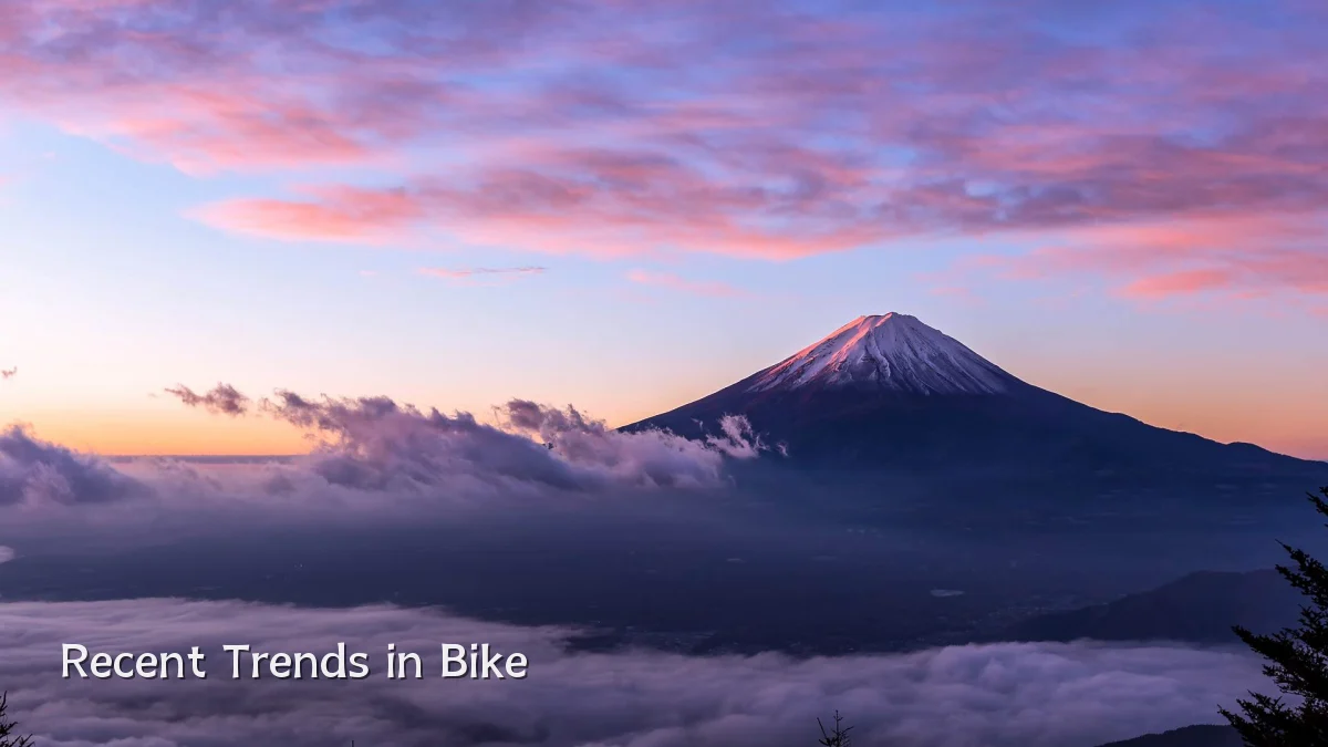 Recent Trends in Bike