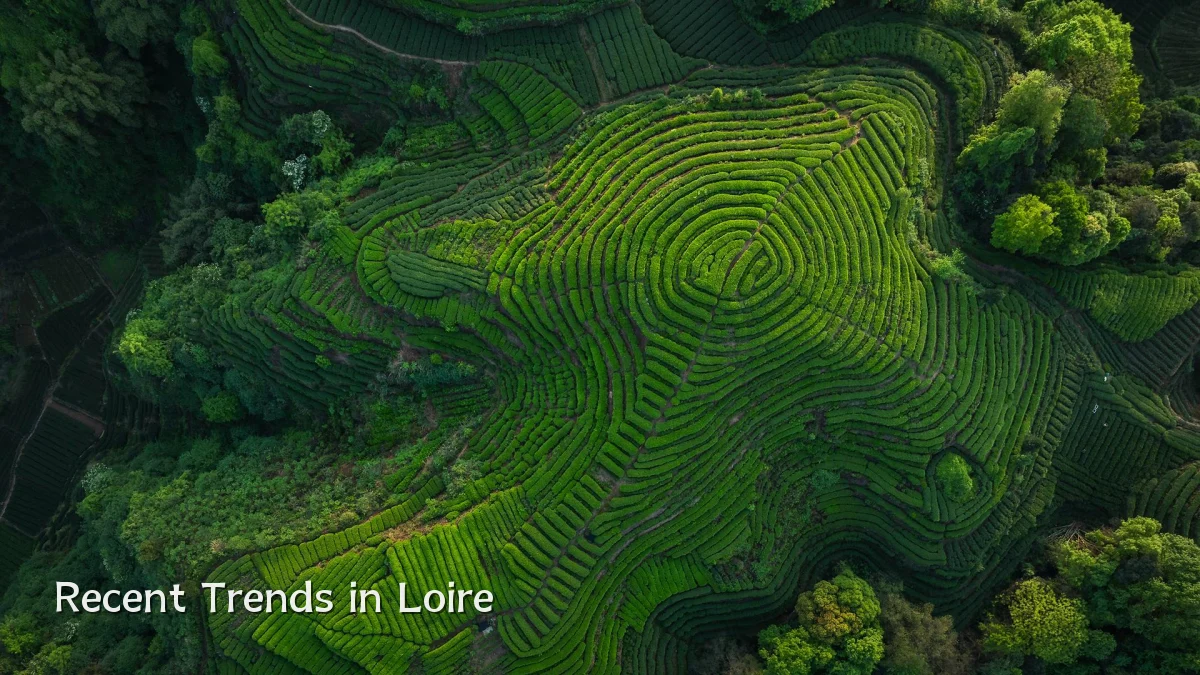 Recent Trends in Loire