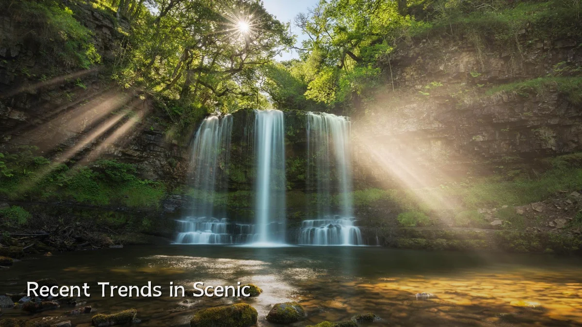 Recent Trends in Scenic