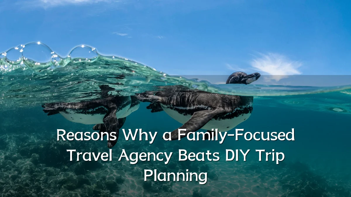 Reasons Why a Family-Focused Travel Agency Beats DIY Trip Planning