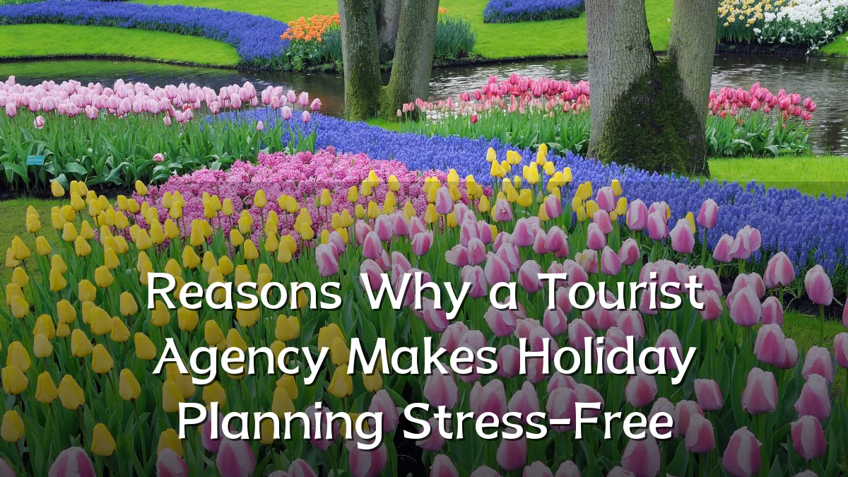 Reasons Why a Tourist Agency Makes Holiday Planning Stress-Free