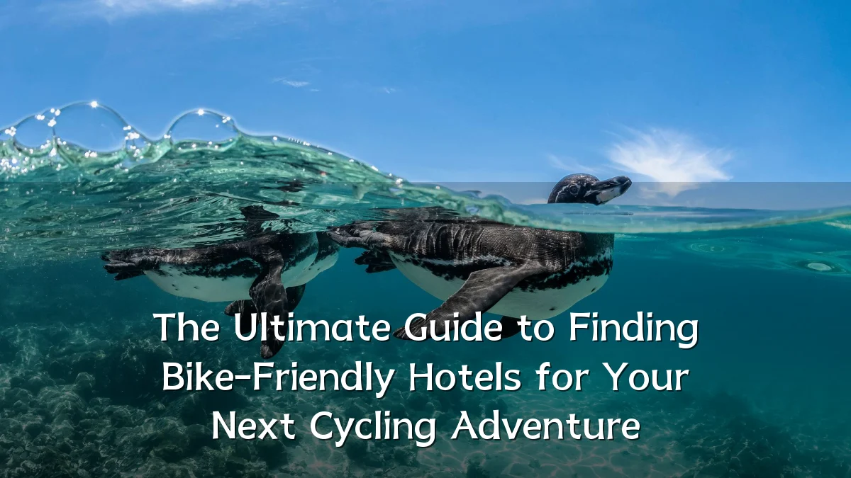 The Ultimate Guide to Finding Bike-Friendly Hotels for Your Next Cycling Adventure