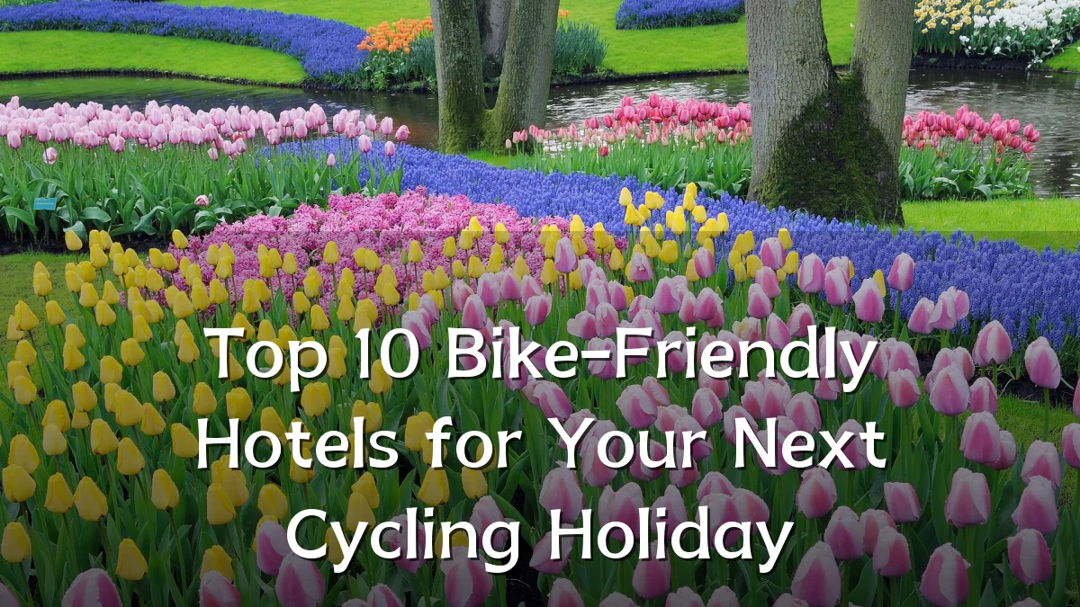 Top 10 Bike-Friendly Hotels for Your Next Cycling Holiday
