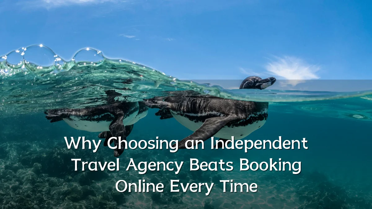 Why Choosing an Independent Travel Agency Beats Booking Online Every Time