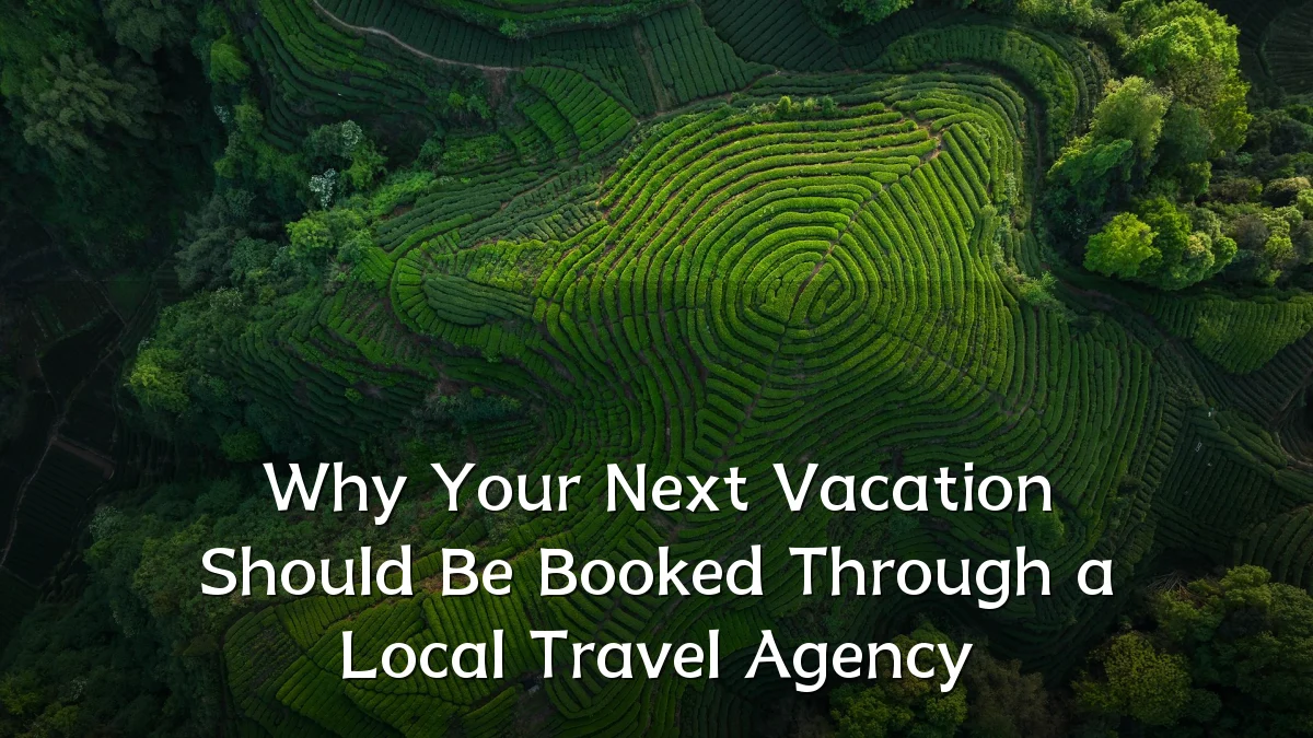 Why Your Next Vacation Should Be Booked Through a Local Travel Agency