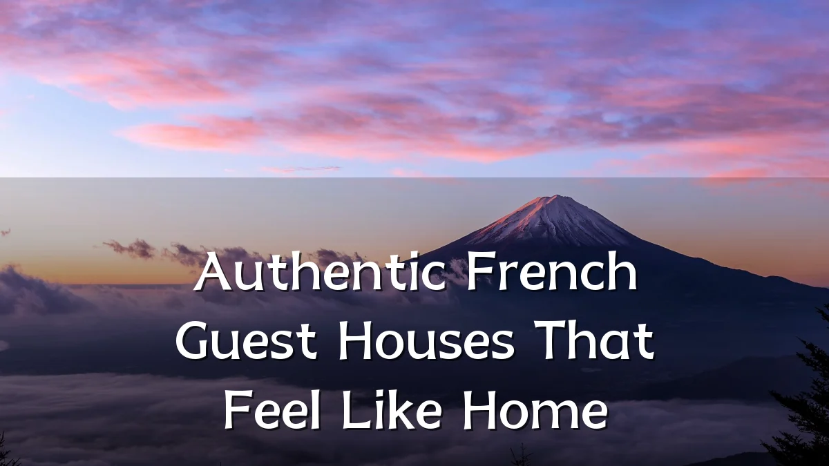 Authentic French Guest Houses That Feel Like Home