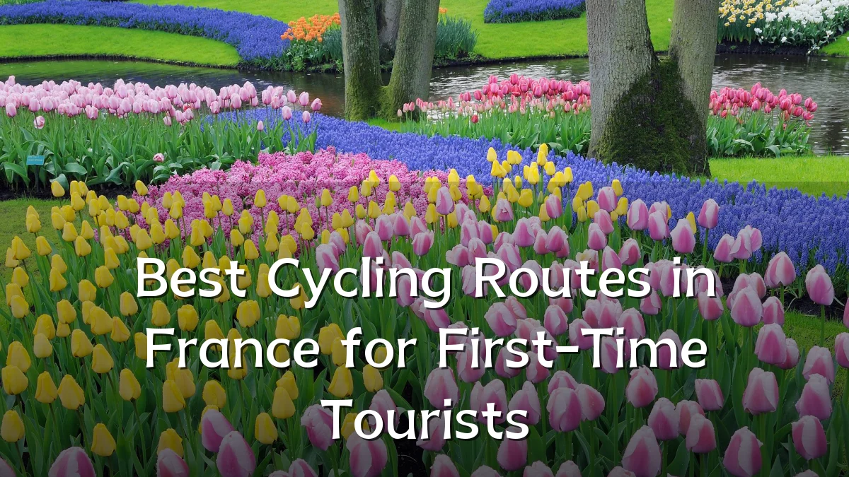 Best Cycling Routes in France for First-Time Tourists
