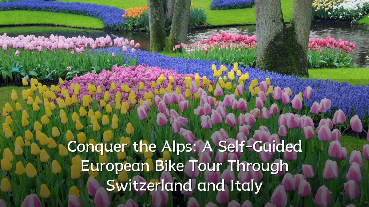 Conquer the Alps: A Self-Guided European Bike Tour Through Switzerland and Italy