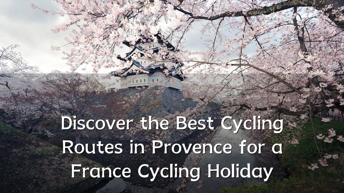 Discover the Best Cycling Routes in Provence for a France Cycling Holiday