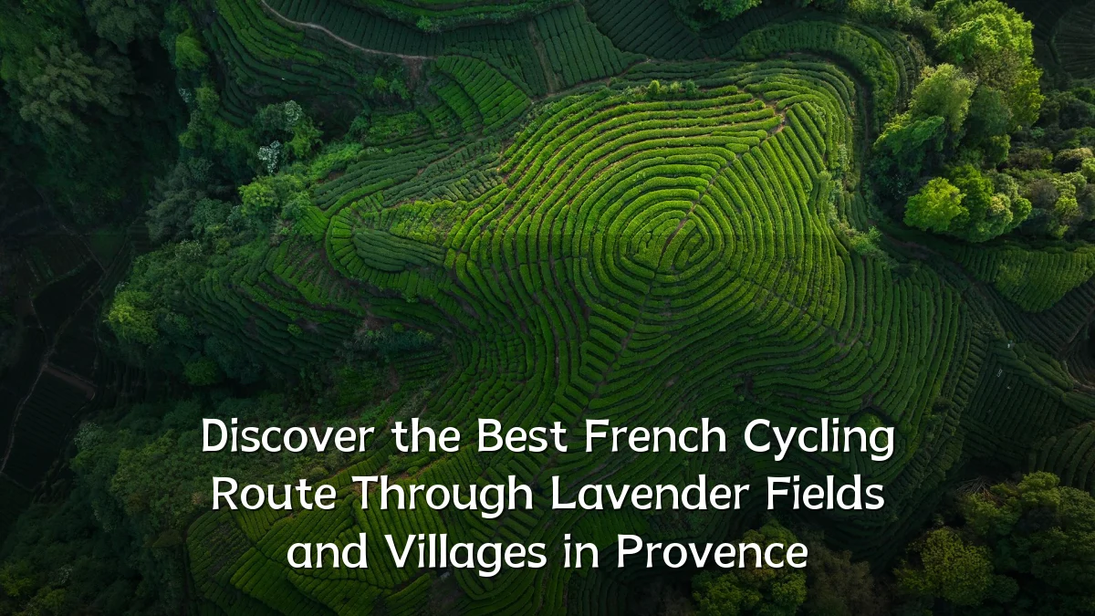 Discover the Best French Cycling Route Through Lavender Fields and Villages in Provence