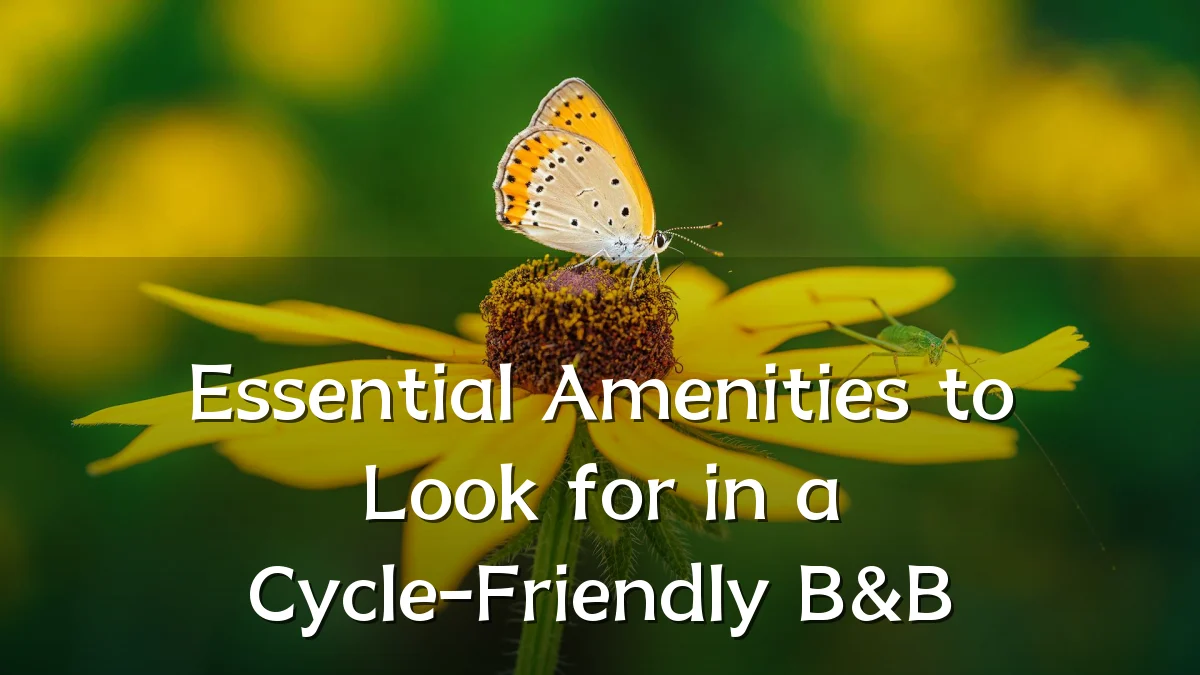 Essential Amenities to Look for in a Cycle-Friendly B&B