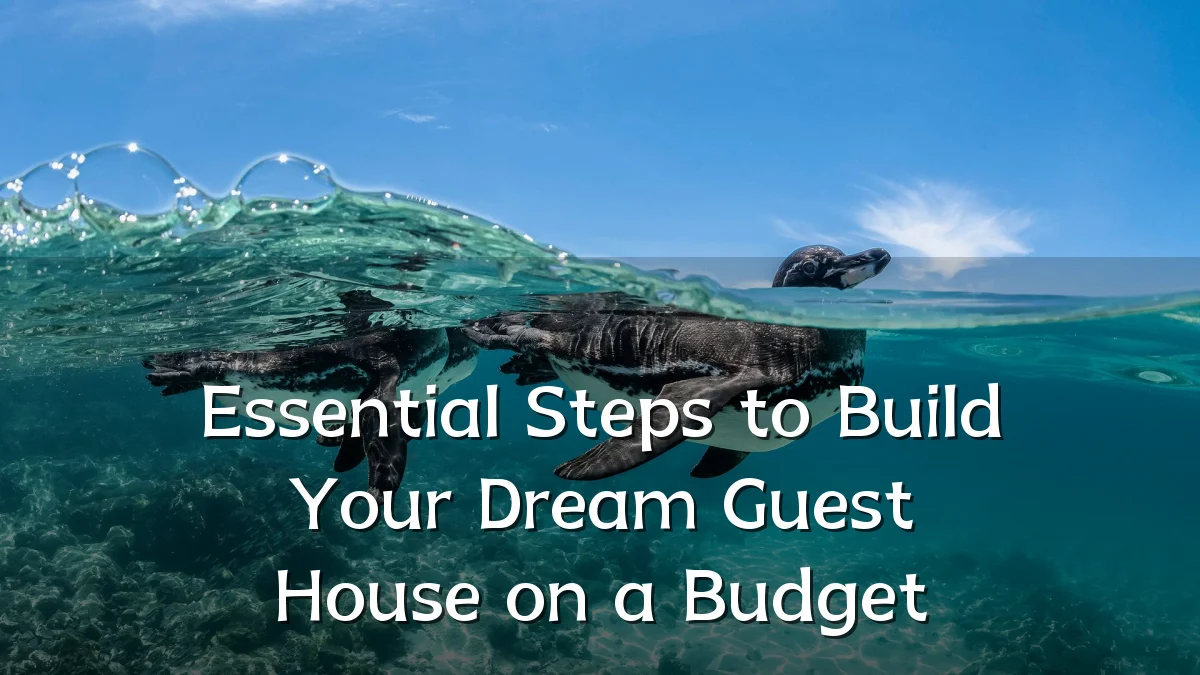 Essential Steps to Build Your Dream Guest House on a Budget