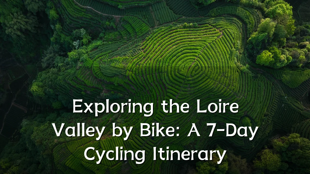 Exploring the Loire Valley by Bike: A 7-Day Cycling Itinerary