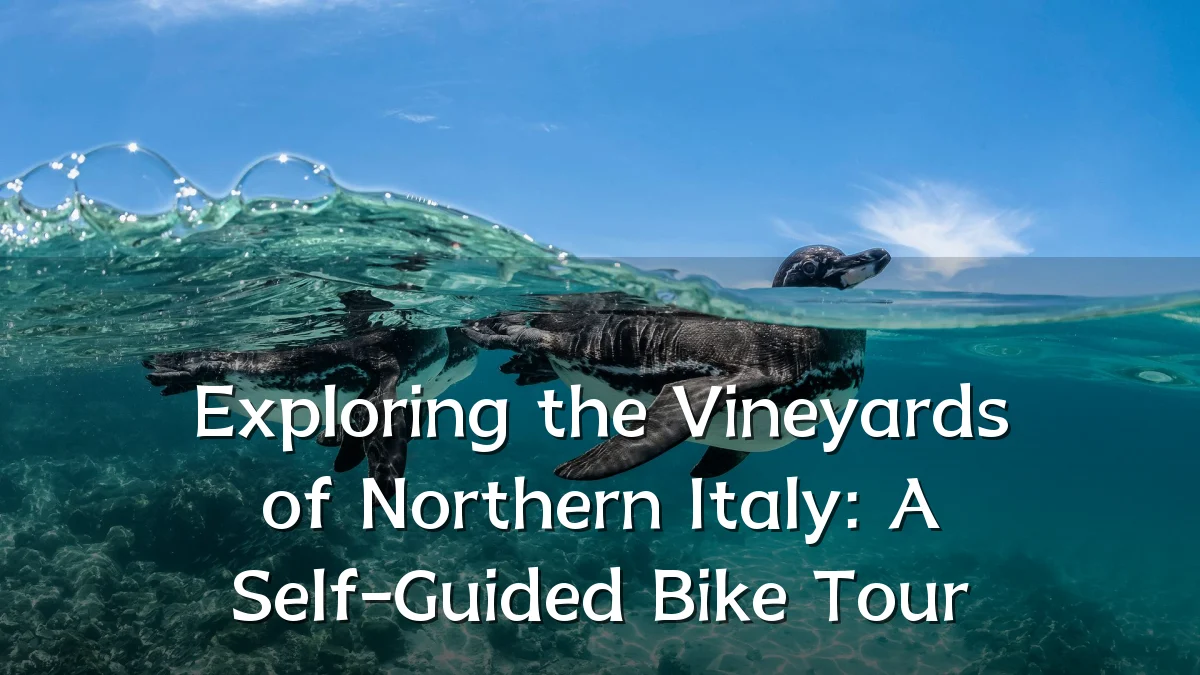 Exploring the Vineyards of Northern Italy: A Self-Guided Bike Tour