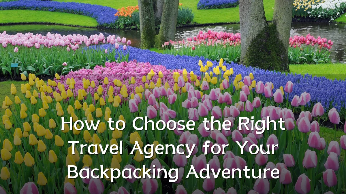 How to Choose the Right Travel Agency for Your Backpacking Adventure