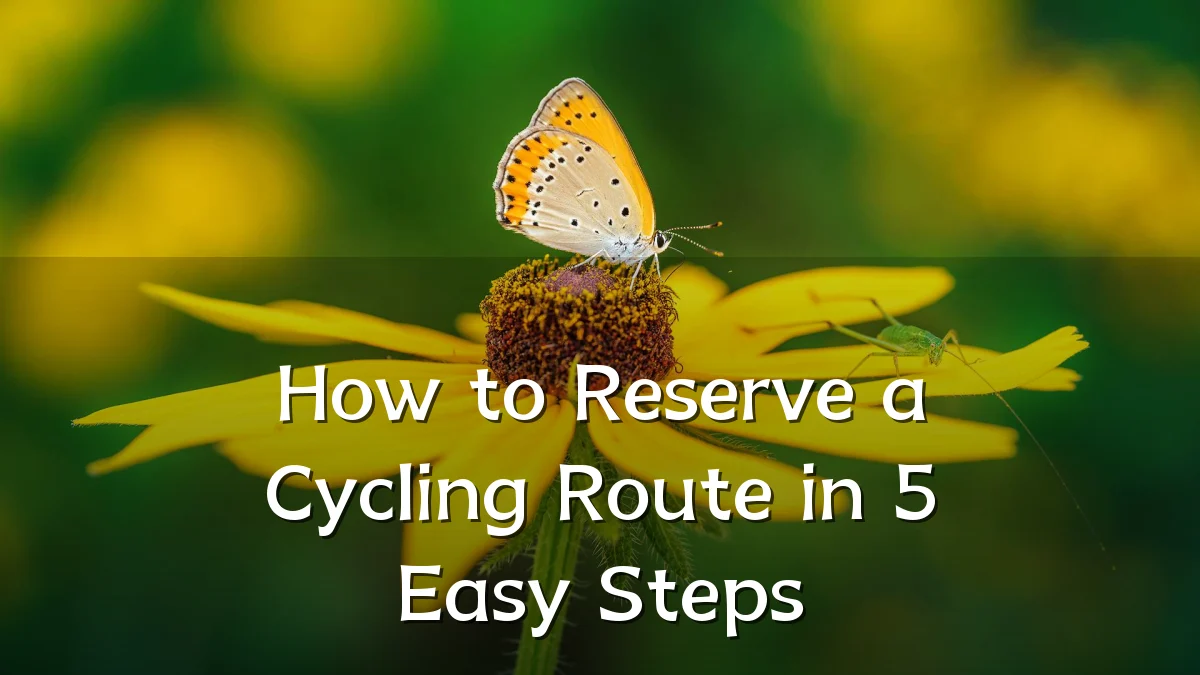 How to Reserve a Cycling Route in 5 Easy Steps