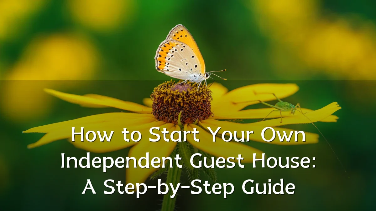 How to Start Your Own Independent Guest House: A Step-by-Step Guide
