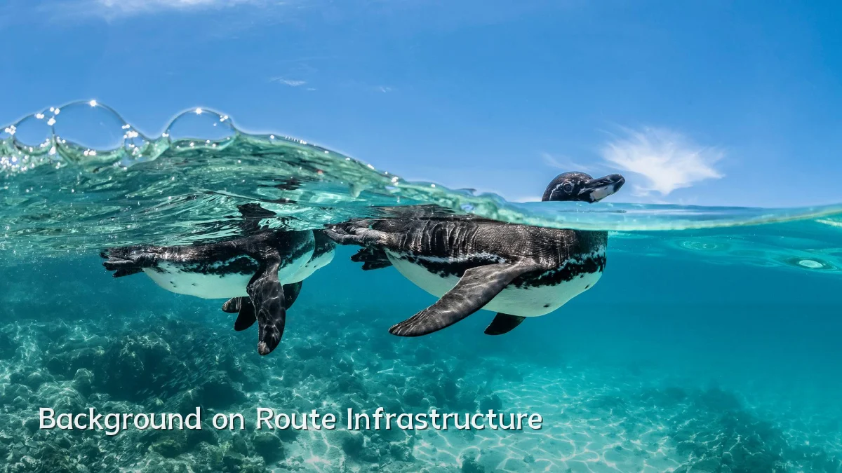 Background on Route Infrastructure