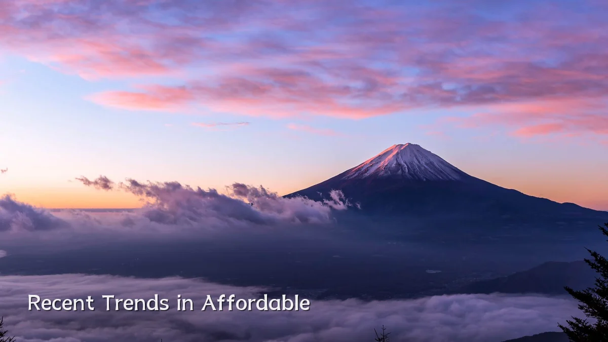 Recent Trends in Affordable