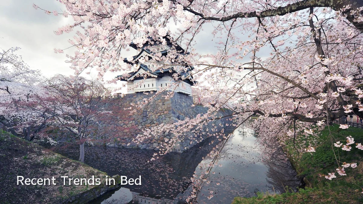 Recent Trends in Bed