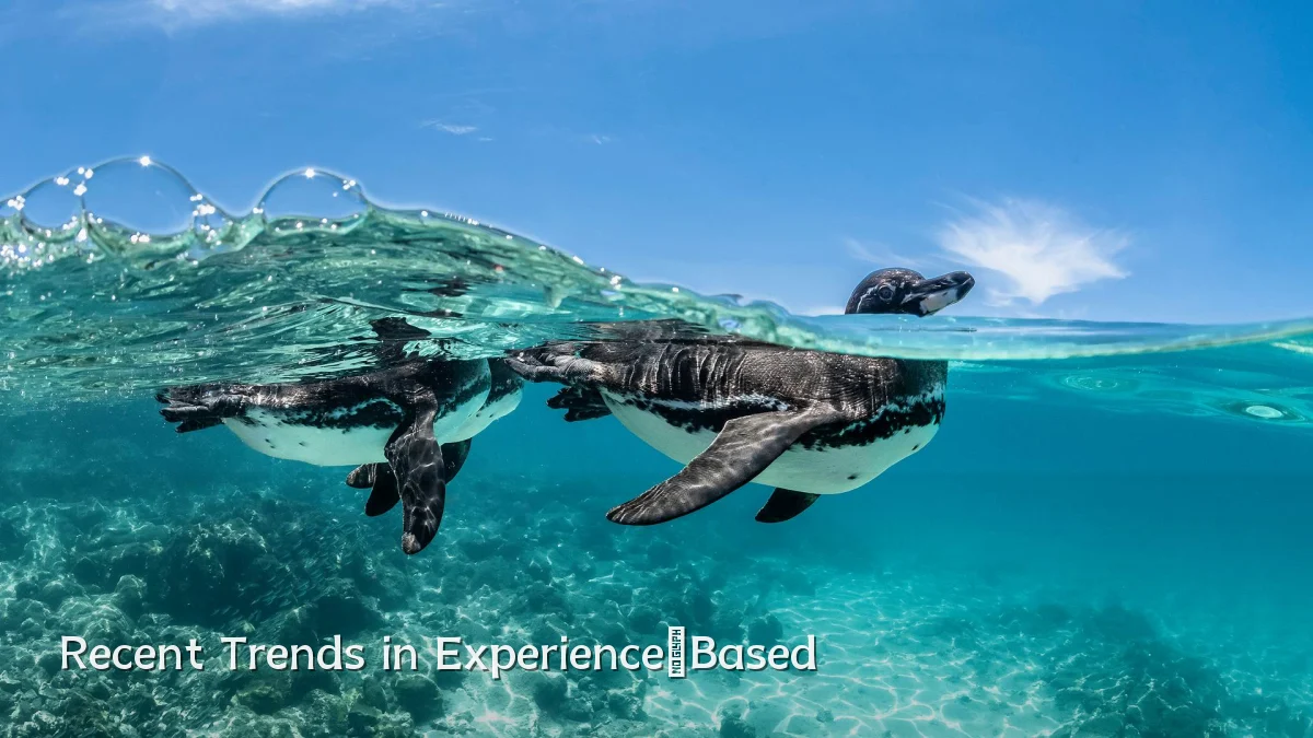 Recent Trends in Experience‑Based