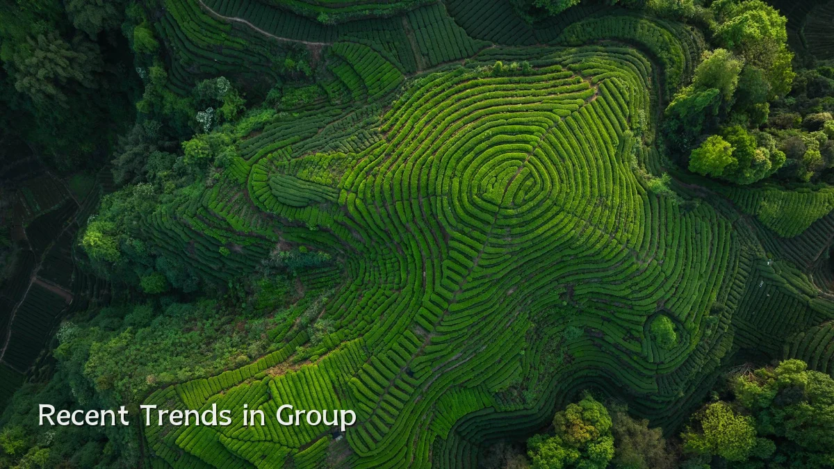 Recent Trends in Group