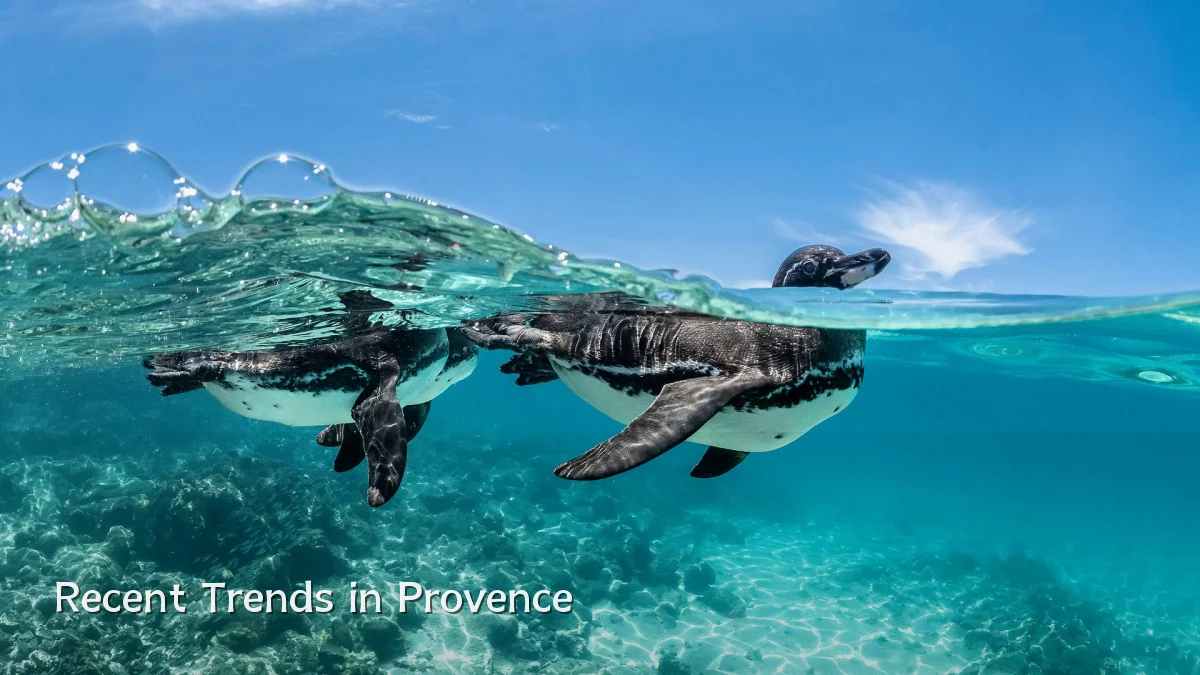 Recent Trends in Provence