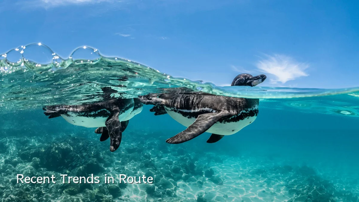 Recent Trends in Route
