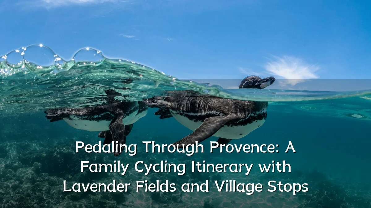 Pedaling Through Provence: A Family Cycling Itinerary with Lavender Fields and Village Stops