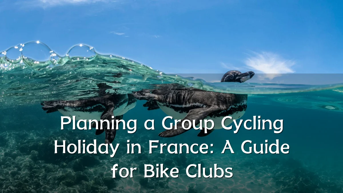 Planning a Group Cycling Holiday in France: A Guide for Bike Clubs