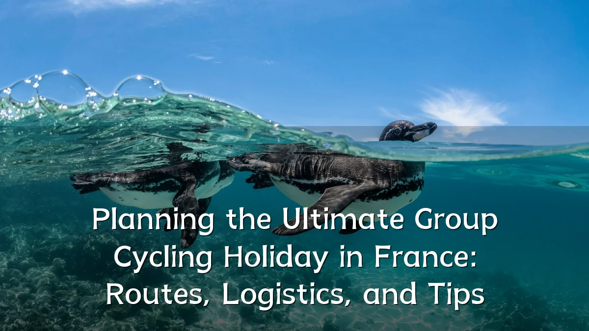 Planning the Ultimate Group Cycling Holiday in France: Routes, Logistics, and Tips