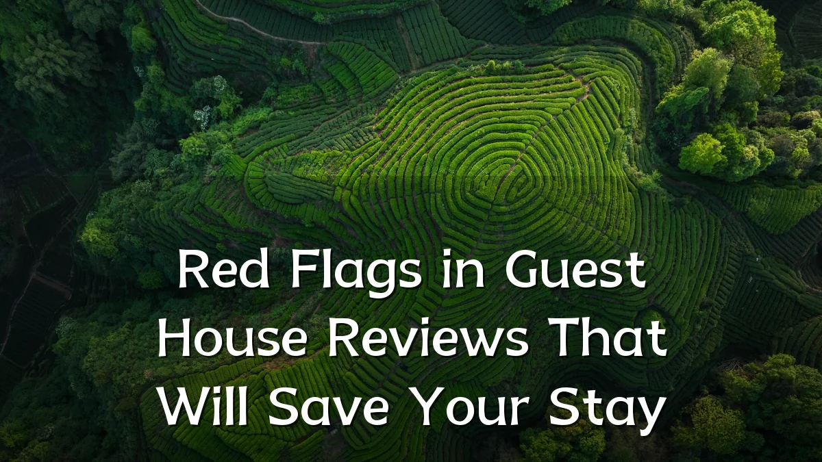 Red Flags in Guest House Reviews That Will Save Your Stay