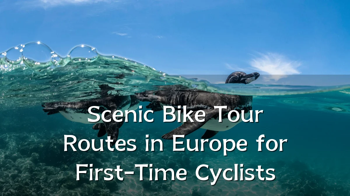 Scenic Bike Tour Routes in Europe for First-Time Cyclists